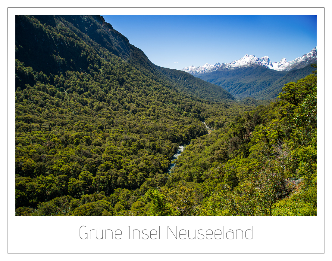 PIX 7110 bearbeitet 1000web