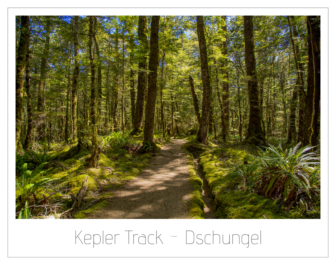 PIX 7156 bearbeitet 1000web